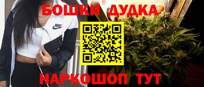 Альфа ПВП Малгобек