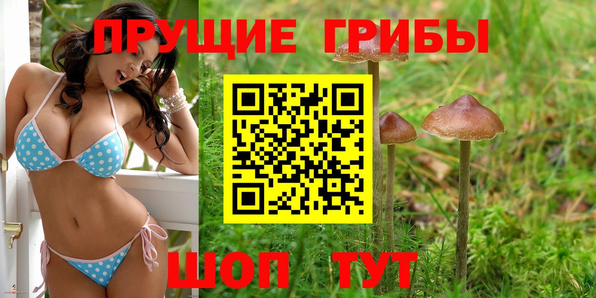 Псилоцибиновые грибы прущие грибы  Вход с VPN  Санкт-Петербург 