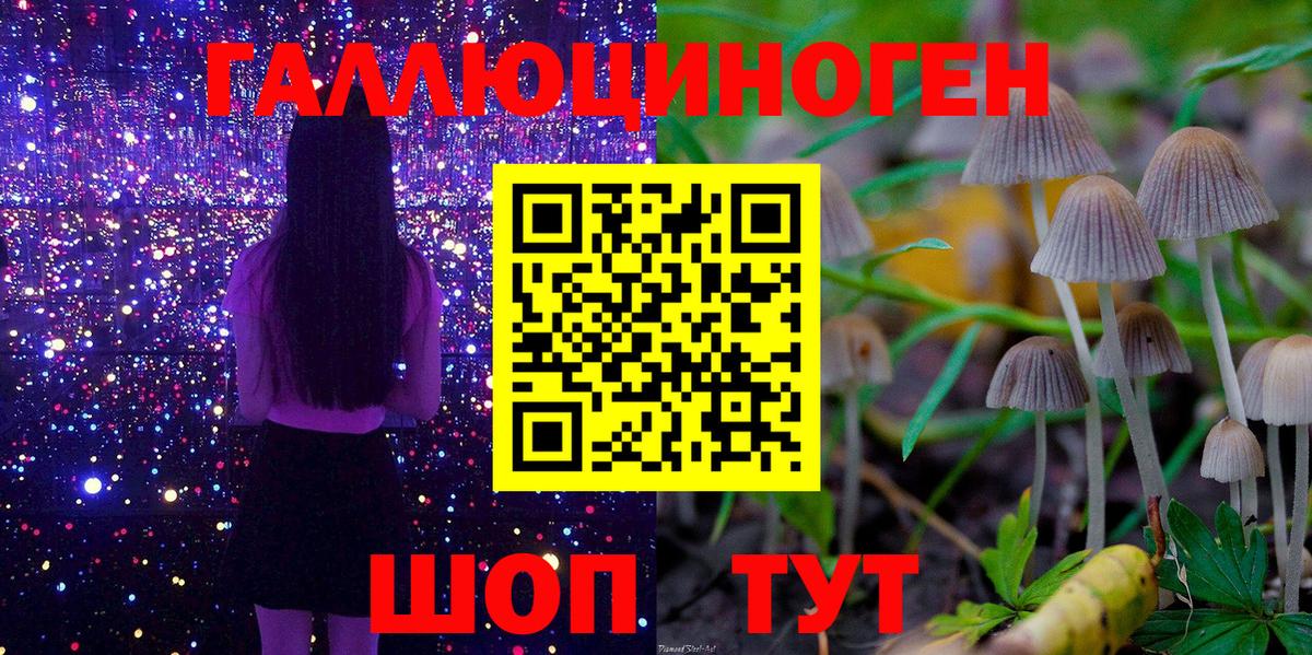 Псилоцибиновые грибы GOLDEN TEACHER Санкт-Петербург